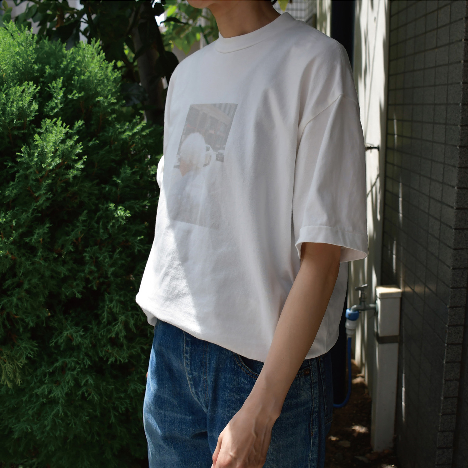 フォトT – 吉祥寺 Promenade｜プロム・ナドゥ